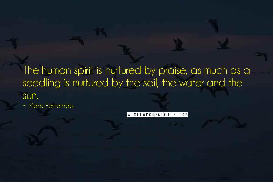 Mario Fernandez Quotes: The human spirit is nurtured by praise, as much as a seedling is nurtured by the soil, the water and the sun.