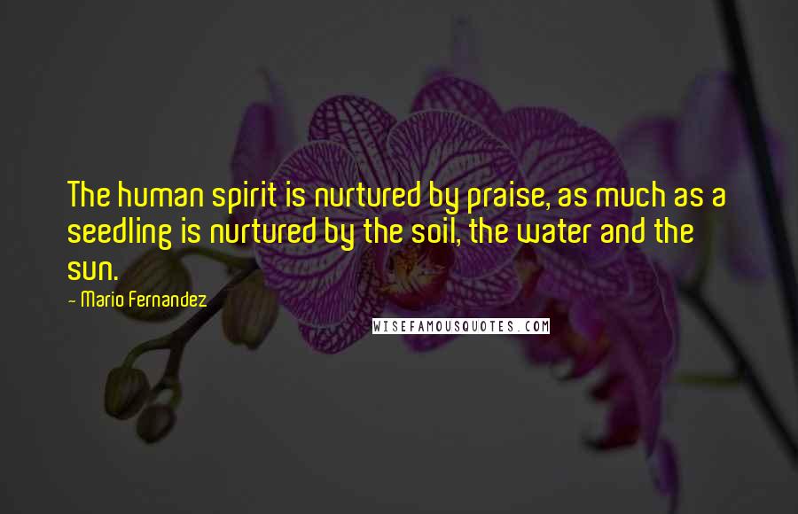 Mario Fernandez Quotes: The human spirit is nurtured by praise, as much as a seedling is nurtured by the soil, the water and the sun.