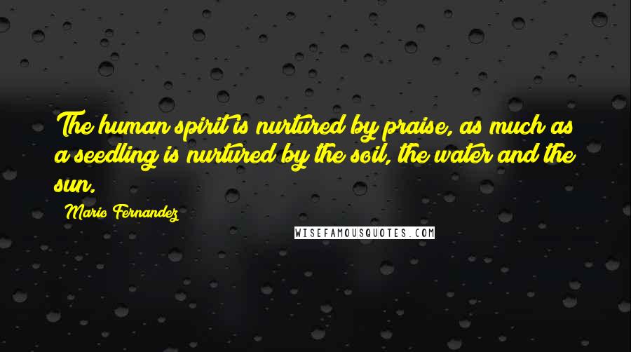 Mario Fernandez Quotes: The human spirit is nurtured by praise, as much as a seedling is nurtured by the soil, the water and the sun.