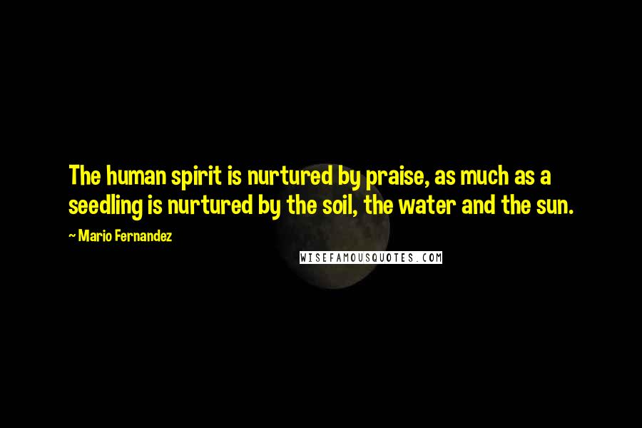 Mario Fernandez Quotes: The human spirit is nurtured by praise, as much as a seedling is nurtured by the soil, the water and the sun.