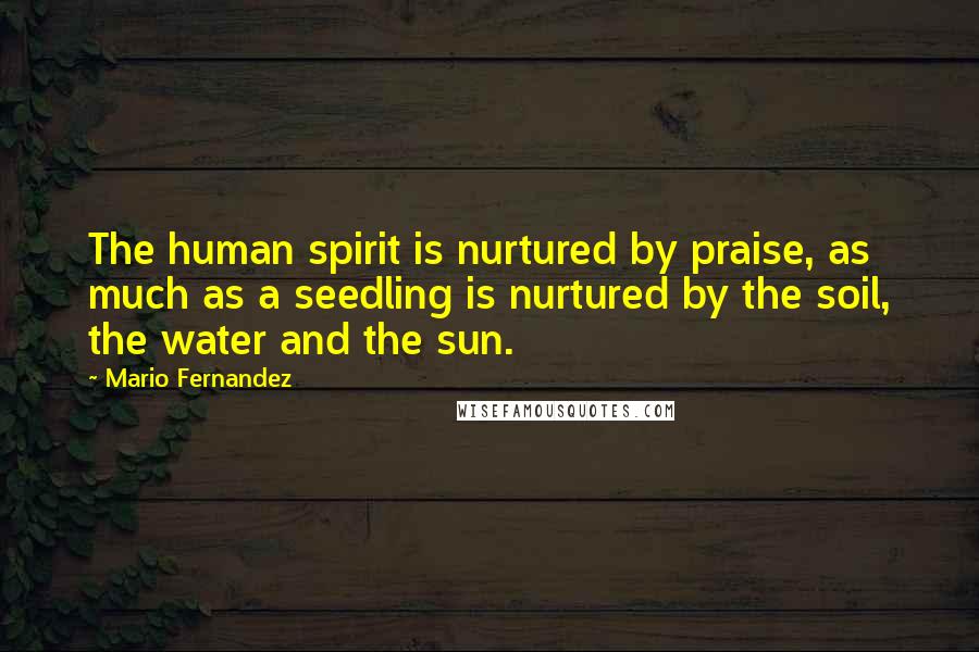 Mario Fernandez Quotes: The human spirit is nurtured by praise, as much as a seedling is nurtured by the soil, the water and the sun.