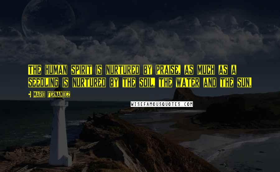 Mario Fernandez Quotes: The human spirit is nurtured by praise, as much as a seedling is nurtured by the soil, the water and the sun.