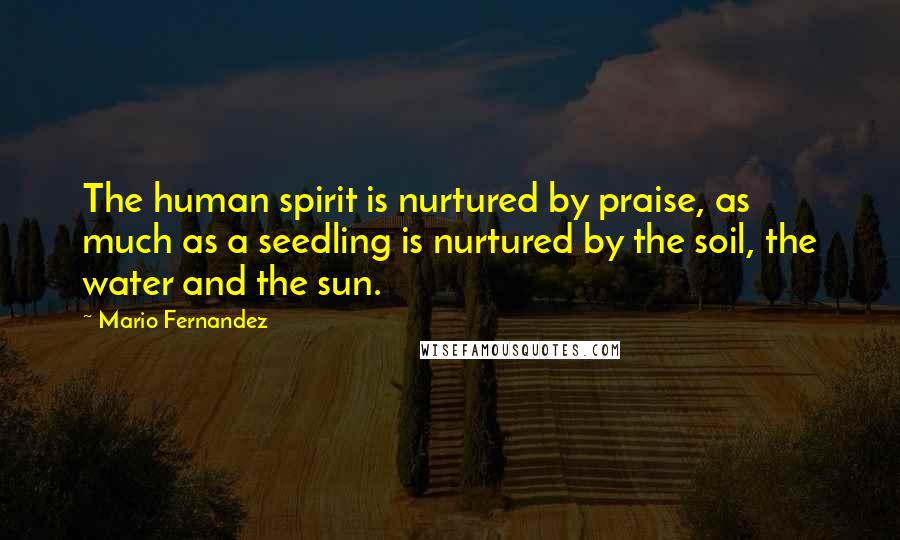 Mario Fernandez Quotes: The human spirit is nurtured by praise, as much as a seedling is nurtured by the soil, the water and the sun.