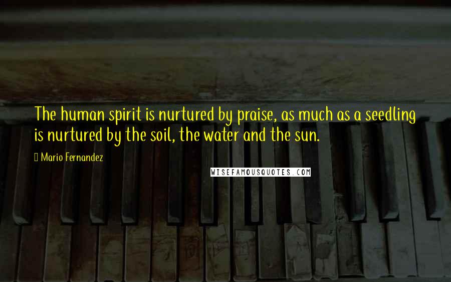 Mario Fernandez Quotes: The human spirit is nurtured by praise, as much as a seedling is nurtured by the soil, the water and the sun.