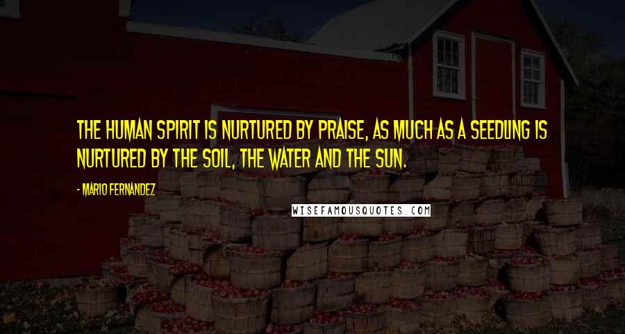 Mario Fernandez Quotes: The human spirit is nurtured by praise, as much as a seedling is nurtured by the soil, the water and the sun.