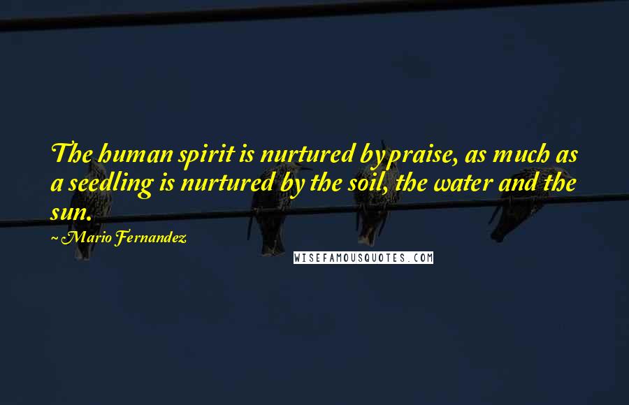 Mario Fernandez Quotes: The human spirit is nurtured by praise, as much as a seedling is nurtured by the soil, the water and the sun.