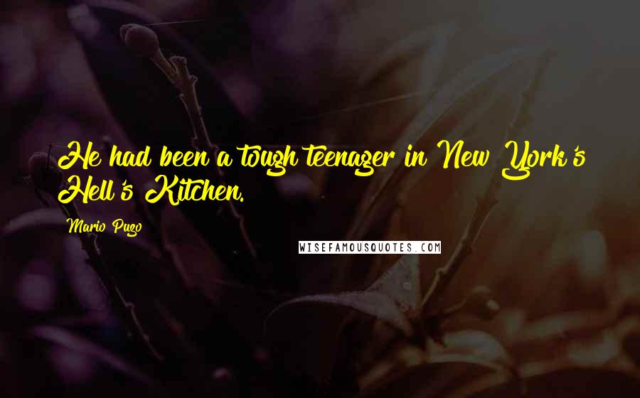 Mario Puzo Quotes: He had been a tough teenager in New York's Hell's Kitchen.