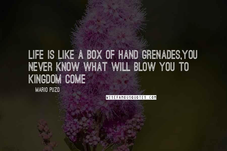 Mario Puzo Quotes: Life is like a box of Hand grenades,You never know what will blow you to kingdom come