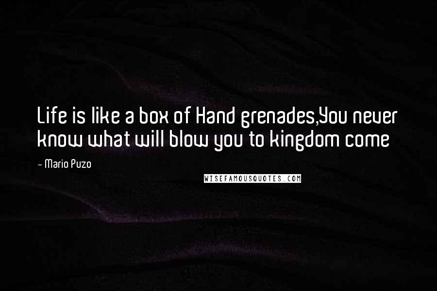 Mario Puzo Quotes: Life is like a box of Hand grenades,You never know what will blow you to kingdom come