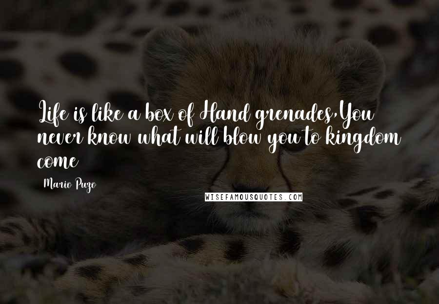 Mario Puzo Quotes: Life is like a box of Hand grenades,You never know what will blow you to kingdom come