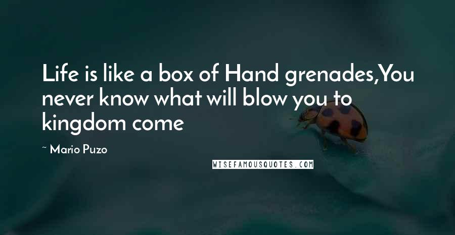 Mario Puzo Quotes: Life is like a box of Hand grenades,You never know what will blow you to kingdom come