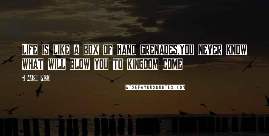 Mario Puzo Quotes: Life is like a box of Hand grenades,You never know what will blow you to kingdom come