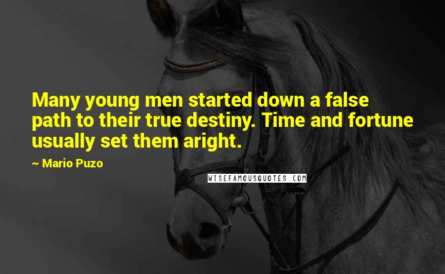 Mario Puzo Quotes: Many young men started down a false path to their true destiny. Time and fortune usually set them aright.
