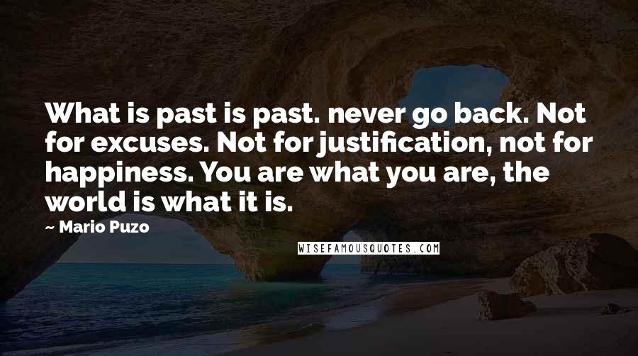 Mario Puzo Quotes: What is past is past. never go back. Not for excuses. Not for justification, not for happiness. You are what you are, the world is what it is.