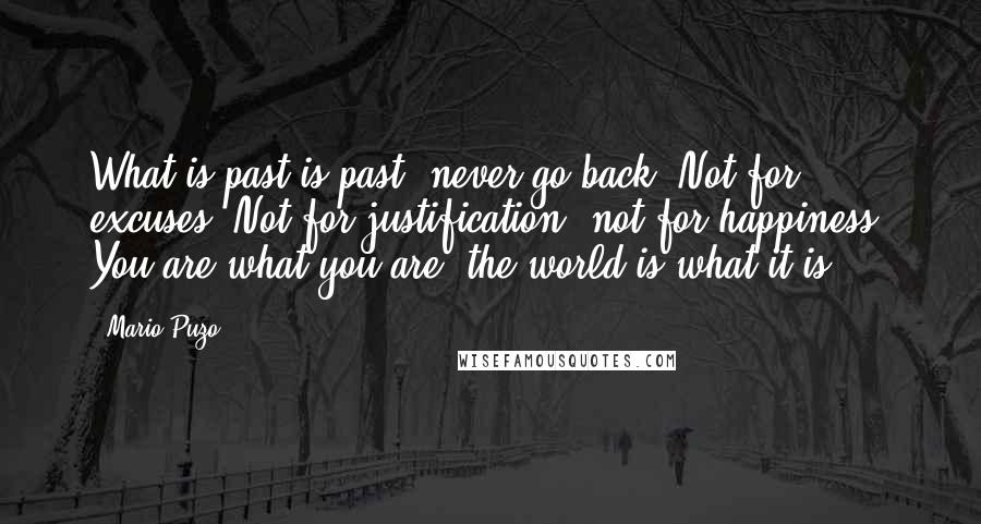 Mario Puzo Quotes: What is past is past. never go back. Not for excuses. Not for justification, not for happiness. You are what you are, the world is what it is.