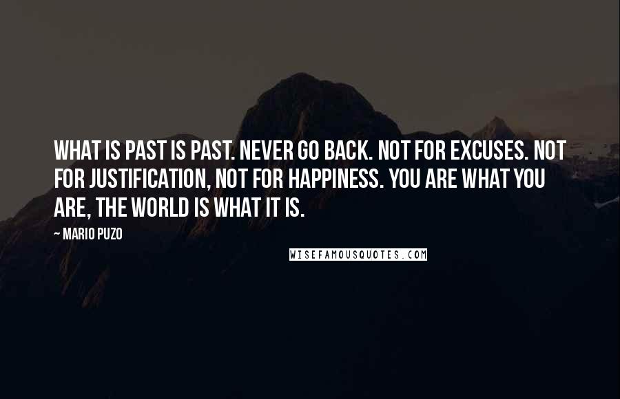 Mario Puzo Quotes: What is past is past. never go back. Not for excuses. Not for justification, not for happiness. You are what you are, the world is what it is.