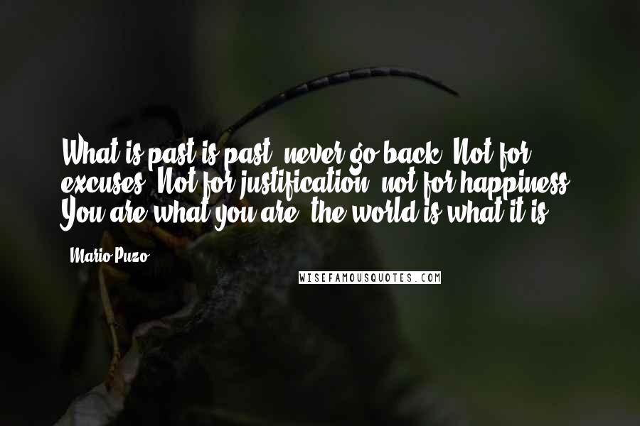 Mario Puzo Quotes: What is past is past. never go back. Not for excuses. Not for justification, not for happiness. You are what you are, the world is what it is.