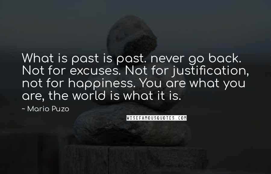 Mario Puzo Quotes: What is past is past. never go back. Not for excuses. Not for justification, not for happiness. You are what you are, the world is what it is.