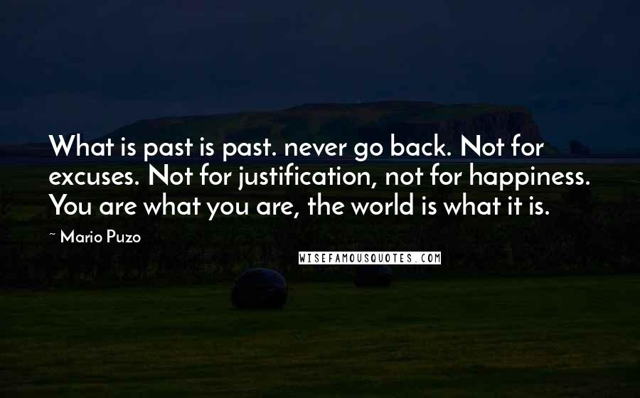 Mario Puzo Quotes: What is past is past. never go back. Not for excuses. Not for justification, not for happiness. You are what you are, the world is what it is.