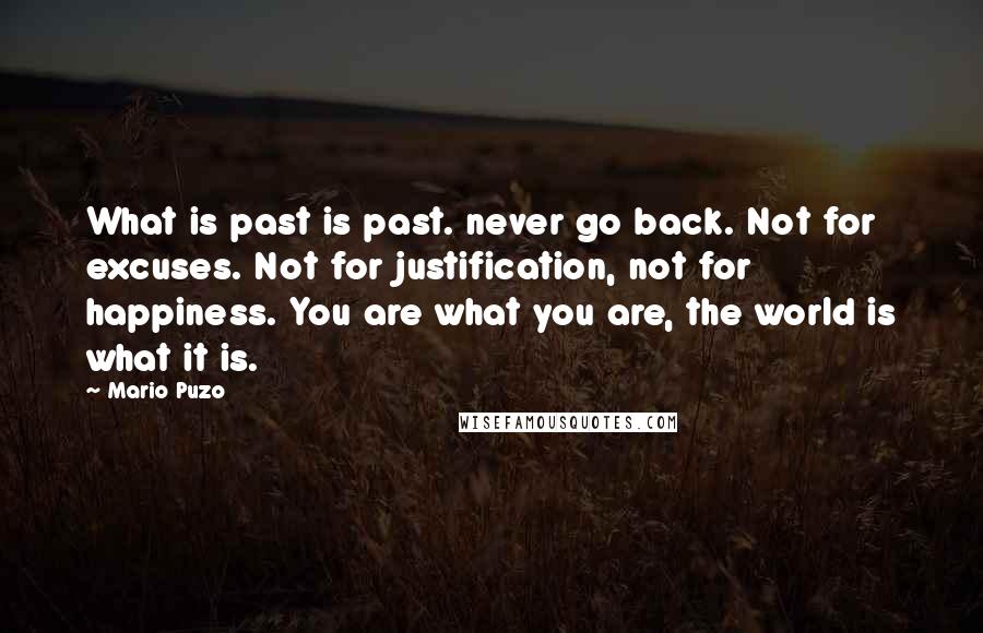 Mario Puzo Quotes: What is past is past. never go back. Not for excuses. Not for justification, not for happiness. You are what you are, the world is what it is.