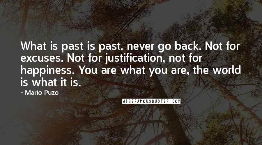 Mario Puzo Quotes: What is past is past. never go back. Not for excuses. Not for justification, not for happiness. You are what you are, the world is what it is.
