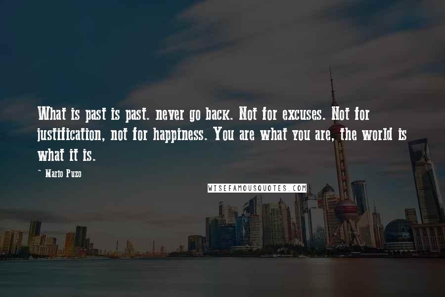 Mario Puzo Quotes: What is past is past. never go back. Not for excuses. Not for justification, not for happiness. You are what you are, the world is what it is.