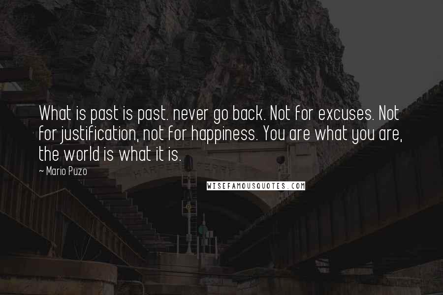 Mario Puzo Quotes: What is past is past. never go back. Not for excuses. Not for justification, not for happiness. You are what you are, the world is what it is.