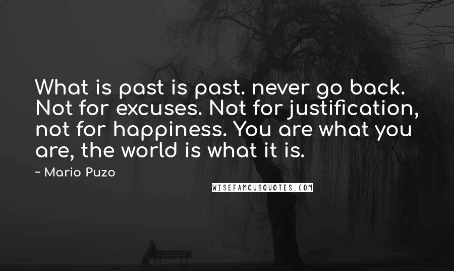 Mario Puzo Quotes: What is past is past. never go back. Not for excuses. Not for justification, not for happiness. You are what you are, the world is what it is.