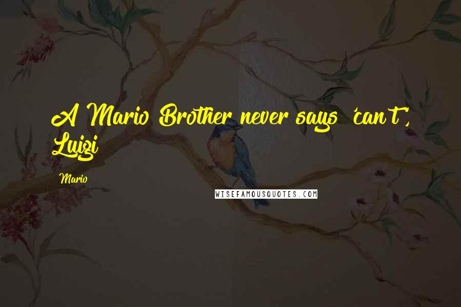 Mario Quotes: A Mario Brother never says 'can't', Luigi!