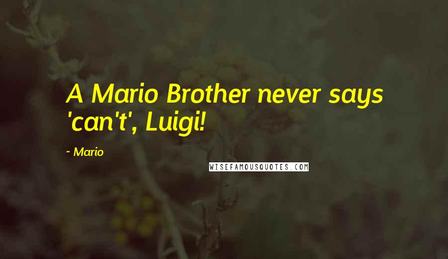 Mario Quotes: A Mario Brother never says 'can't', Luigi!