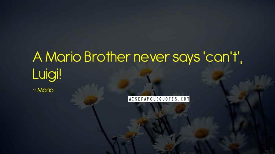 Mario Quotes: A Mario Brother never says 'can't', Luigi!