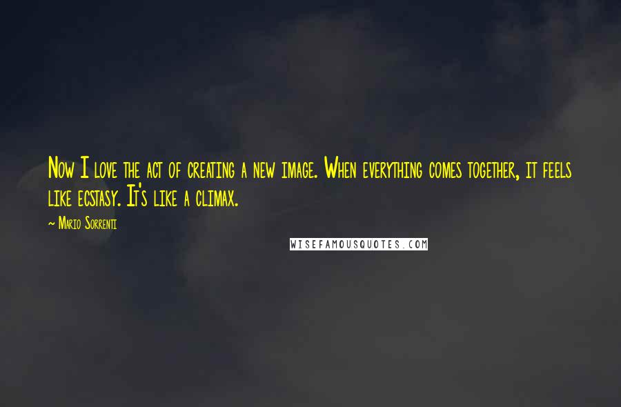 Mario Sorrenti Quotes: Now I love the act of creating a new image. When everything comes together, it feels like ecstasy. It's like a climax.
