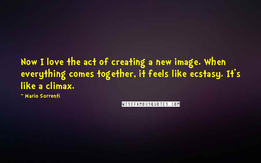 Mario Sorrenti Quotes: Now I love the act of creating a new image. When everything comes together, it feels like ecstasy. It's like a climax.