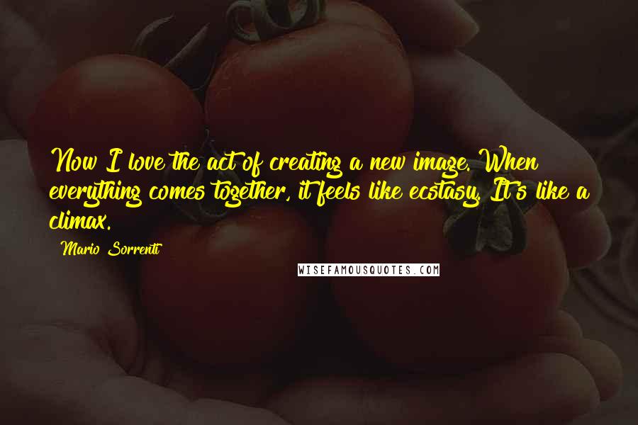 Mario Sorrenti Quotes: Now I love the act of creating a new image. When everything comes together, it feels like ecstasy. It's like a climax.