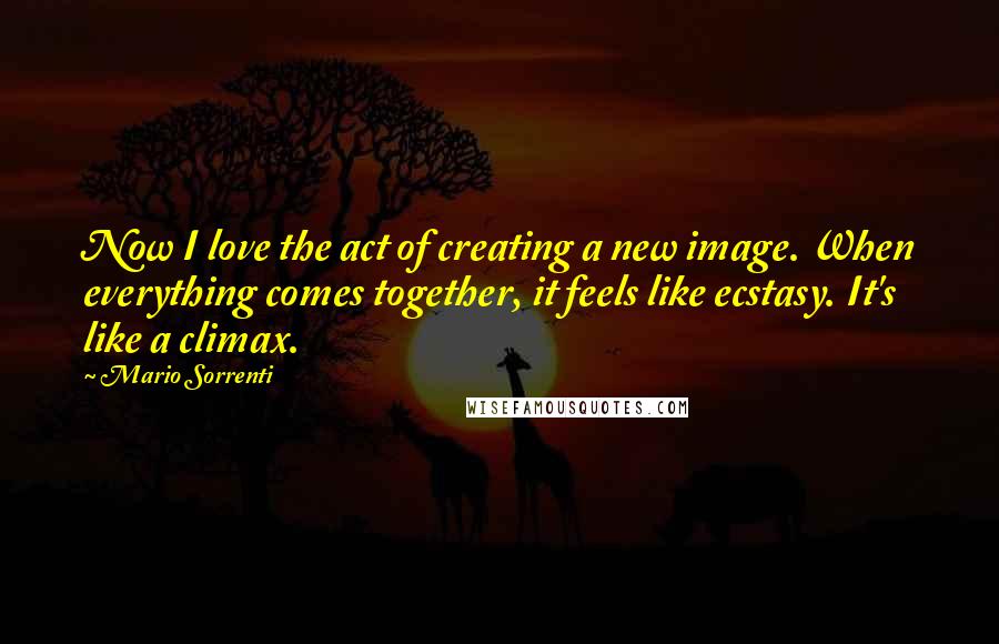 Mario Sorrenti Quotes: Now I love the act of creating a new image. When everything comes together, it feels like ecstasy. It's like a climax.