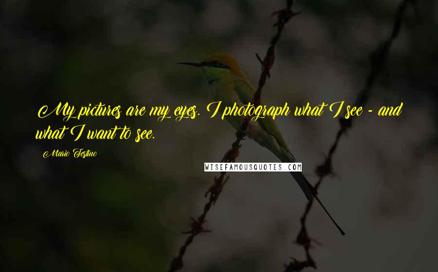 Mario Testino Quotes: My pictures are my eyes. I photograph what I see - and what I want to see.