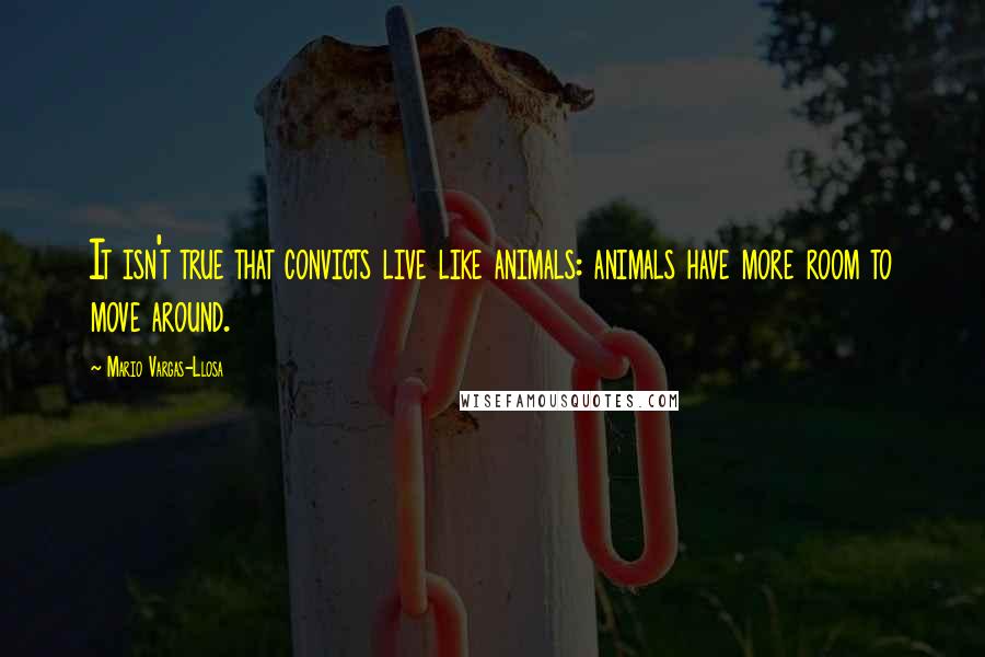 Mario Vargas-Llosa Quotes: It isn't true that convicts live like animals: animals have more room to move around.