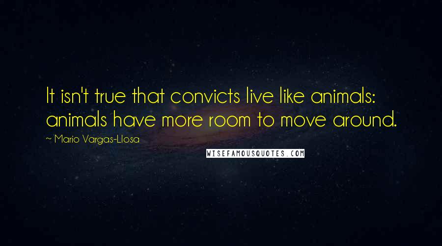 Mario Vargas-Llosa Quotes: It isn't true that convicts live like animals: animals have more room to move around.