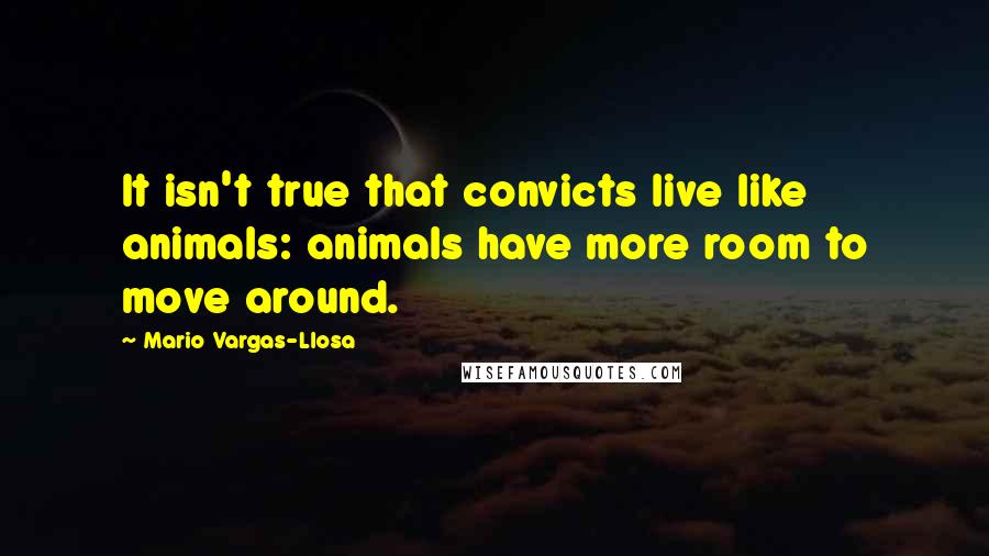 Mario Vargas-Llosa Quotes: It isn't true that convicts live like animals: animals have more room to move around.