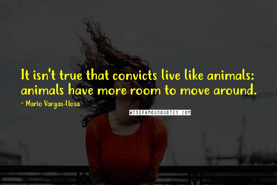 Mario Vargas-Llosa Quotes: It isn't true that convicts live like animals: animals have more room to move around.