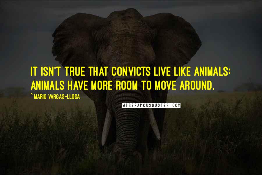 Mario Vargas-Llosa Quotes: It isn't true that convicts live like animals: animals have more room to move around.