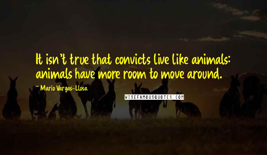 Mario Vargas-Llosa Quotes: It isn't true that convicts live like animals: animals have more room to move around.