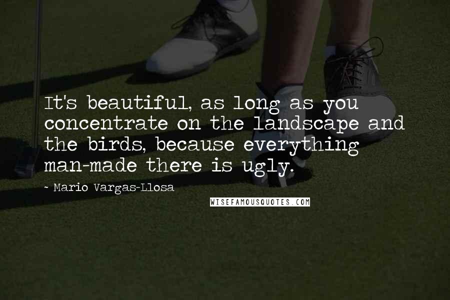 Mario Vargas-Llosa Quotes: It's beautiful, as long as you concentrate on the landscape and the birds, because everything man-made there is ugly.