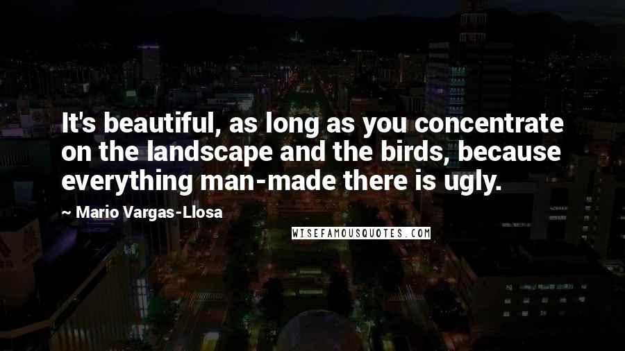 Mario Vargas-Llosa Quotes: It's beautiful, as long as you concentrate on the landscape and the birds, because everything man-made there is ugly.