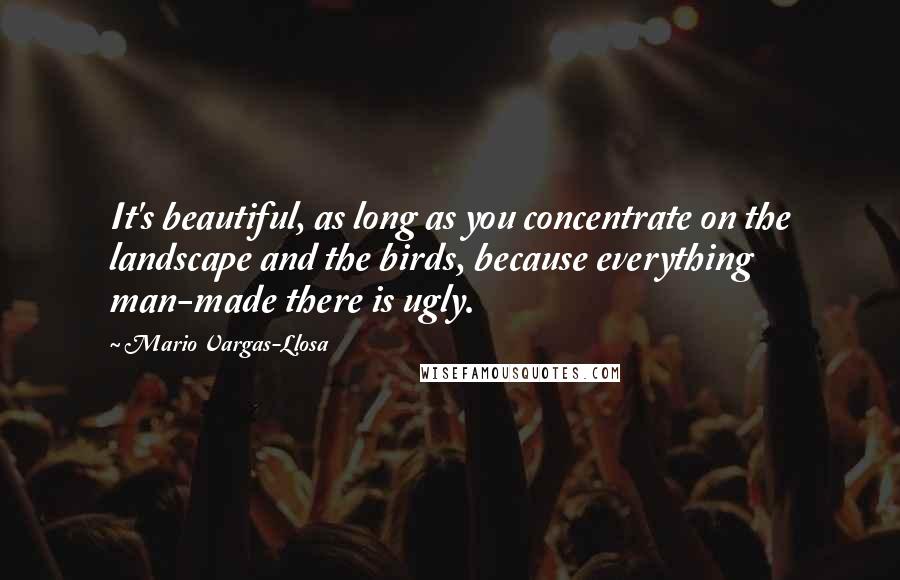 Mario Vargas-Llosa Quotes: It's beautiful, as long as you concentrate on the landscape and the birds, because everything man-made there is ugly.