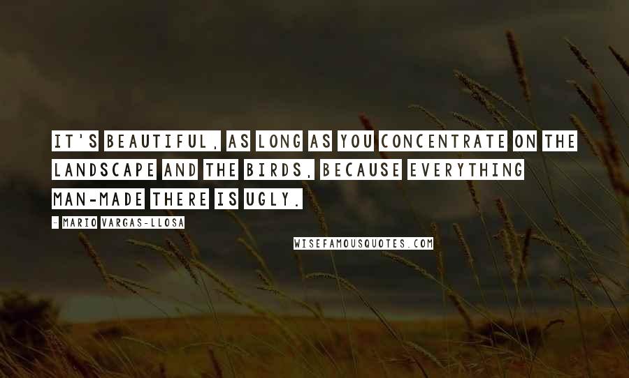 Mario Vargas-Llosa Quotes: It's beautiful, as long as you concentrate on the landscape and the birds, because everything man-made there is ugly.