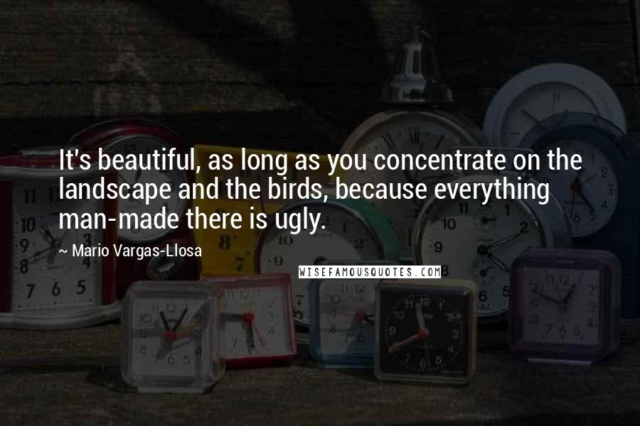 Mario Vargas-Llosa Quotes: It's beautiful, as long as you concentrate on the landscape and the birds, because everything man-made there is ugly.