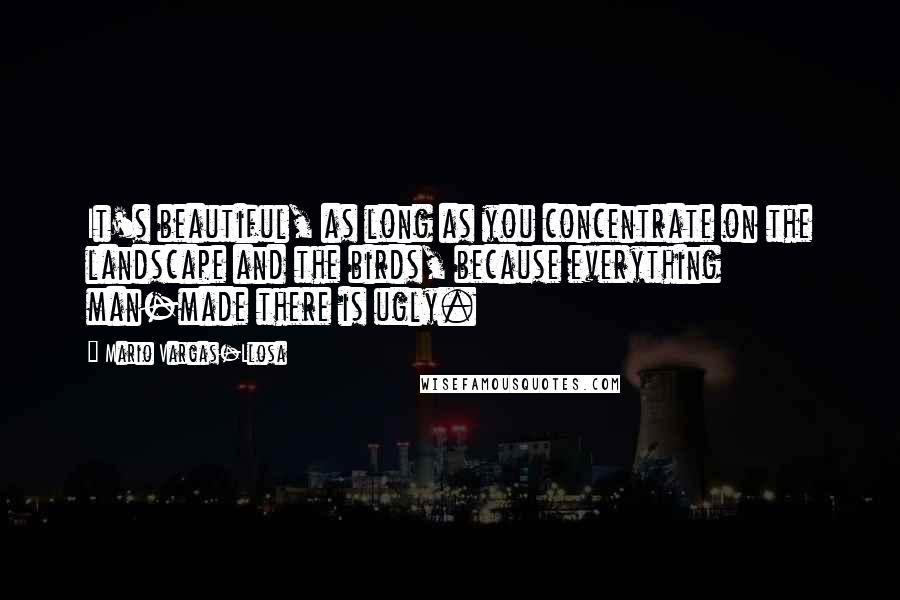 Mario Vargas-Llosa Quotes: It's beautiful, as long as you concentrate on the landscape and the birds, because everything man-made there is ugly.