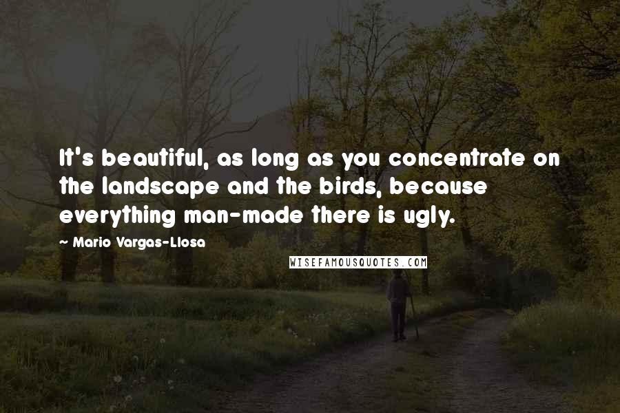 Mario Vargas-Llosa Quotes: It's beautiful, as long as you concentrate on the landscape and the birds, because everything man-made there is ugly.