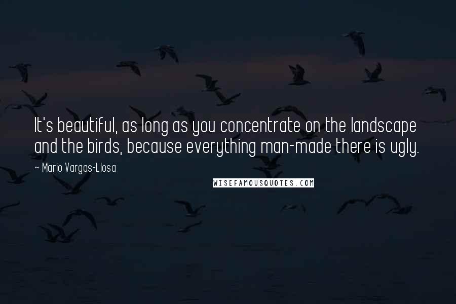 Mario Vargas-Llosa Quotes: It's beautiful, as long as you concentrate on the landscape and the birds, because everything man-made there is ugly.